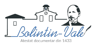 Primăria Orașului Bolintin-Vale